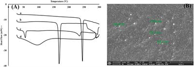 Rufinamide-Loaded Chitosan Nanoparticles in Xyloglucan-Based Thermoresponsive In Situ Gel for Direct Nose to Brain Delivery